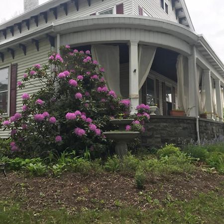 Bel'S Inn Bed And Breakfast Kingston Bagian luar foto