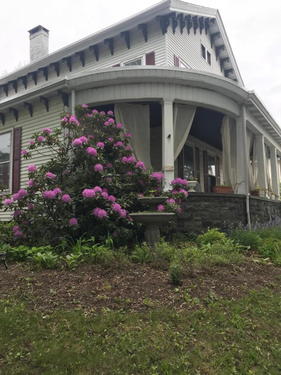 Bel'S Inn Bed And Breakfast Kingston Bagian luar foto