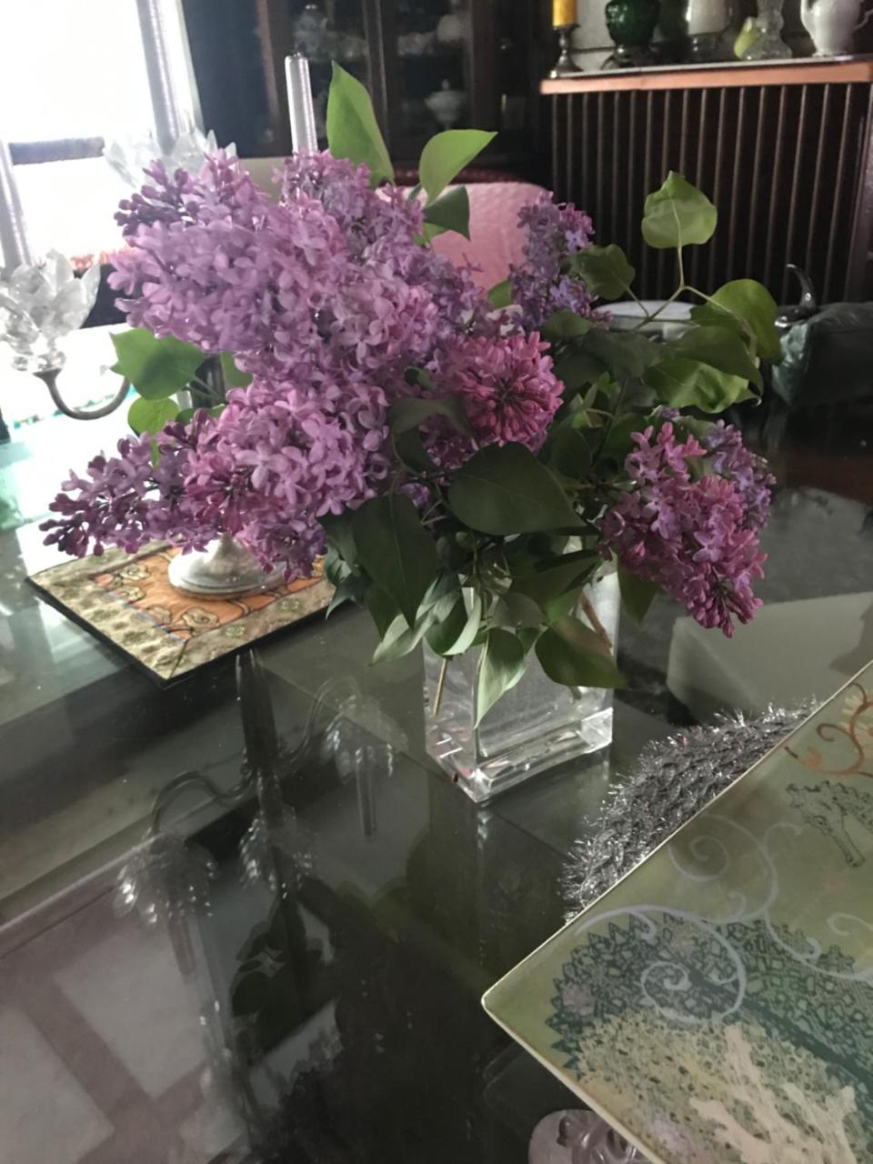 Bel'S Inn Bed And Breakfast Kingston Bagian luar foto