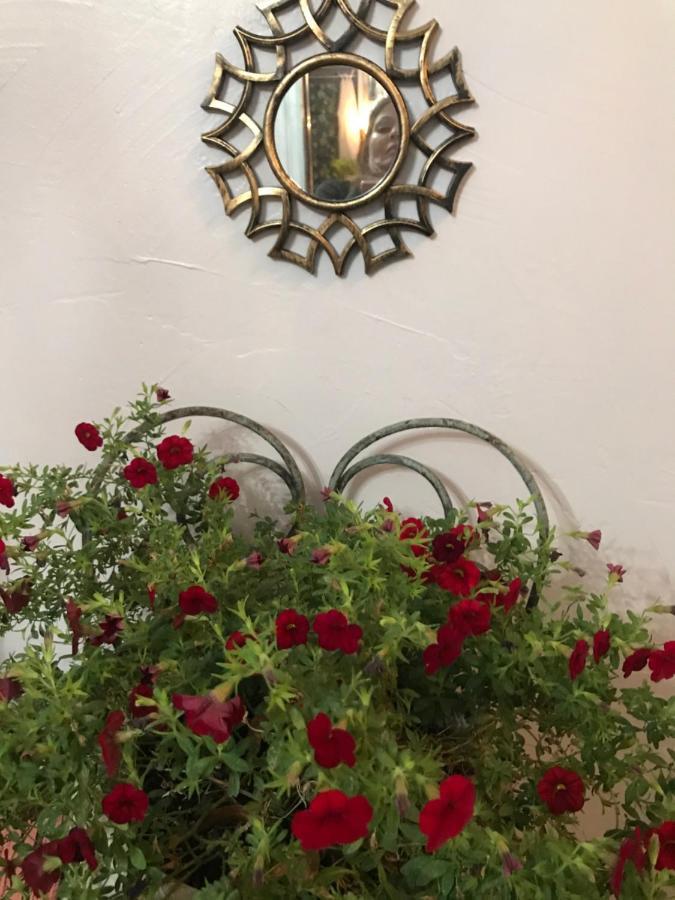 Bel'S Inn Bed And Breakfast Kingston Bagian luar foto
